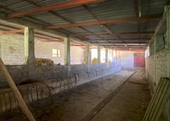 Magazzino - Villa strada Cavalli, 42, Fara in Sabina - foto 23