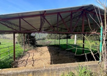 Magazzino - Villa strada Cavalli, 42, Fara in Sabina - foto 24