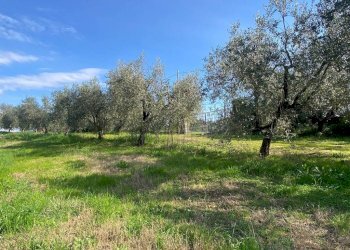 Terreno - Villa strada Cavalli, 42, Fara in Sabina - foto 27