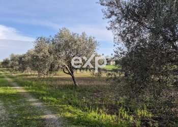Casa indipendente contrada palazzelle, Modica - foto 15