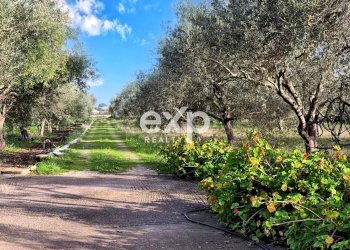 Casa indipendente contrada palazzelle, Modica - foto 13