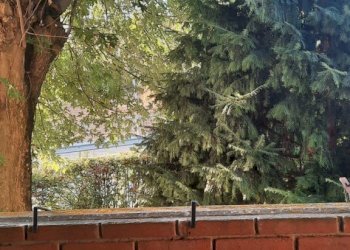 Appartamento Rivergaro - foto 17