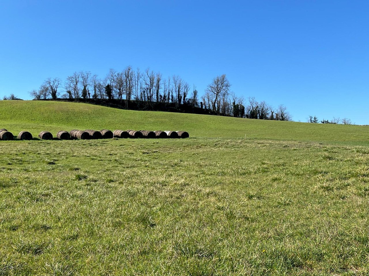 Terreno edificabile Rivergaro - foto 2