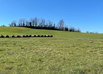 Terreno edificabile Rivergaro - foto 2