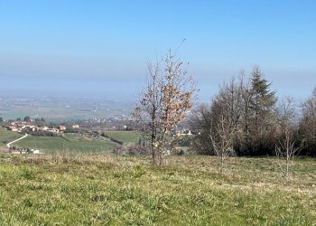 Terreno edificabile Rivergaro - foto 5