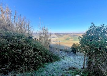 Villa Regione Bricco di Scandeluzza, Montiglio Monferrato - foto 7