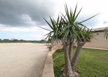 Commercial Activity STRADA PROVINCIALE 52, Floridia - photo 10