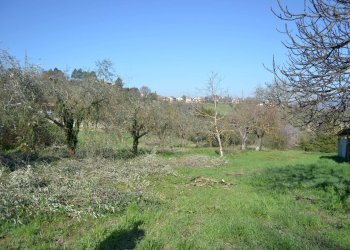Terreno edificabile VOC. SAN LORENZO, Stroncone - foto 9