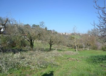 Terreno edificabile VOC. SAN LORENZO, Stroncone - foto 11