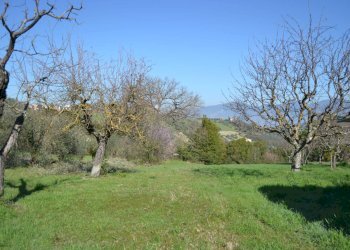 Terreno edificabile VOC. SAN LORENZO, Stroncone - foto 13