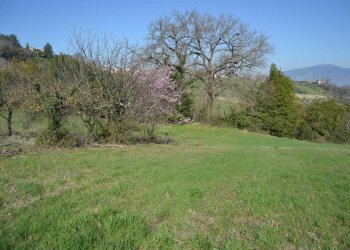 Terreno edificabile VOC. SAN LORENZO, Stroncone - foto 19