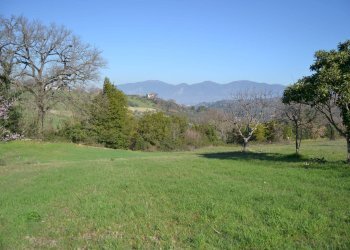 Terreno edificabile VOC. SAN LORENZO, Stroncone - foto 20