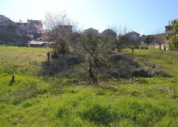 Terreno edificabile VOC. SAN LORENZO, Stroncone - foto 22