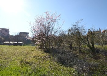 Terreno edificabile VOC. SAN LORENZO, Stroncone - foto 28