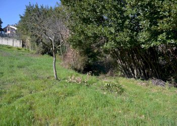 Terreno edificabile VOC. SAN LORENZO, Stroncone - foto 30