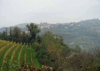 Vista - Rustico Località San Donato, Mango - foto 2