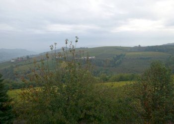 Vista - Rustico Località San Donato, Mango - foto 4