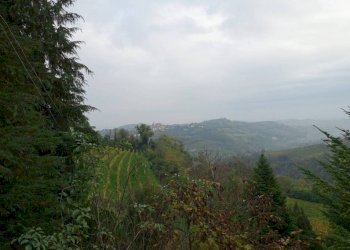 Vista - Rustico Località San Donato, Mango - foto 23