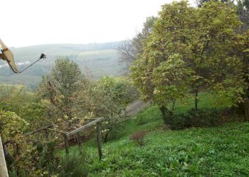 Giardino - Rustico Località San Donato, Mango - foto 35