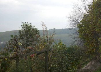 Vista - Rustico Località San Donato, Mango - foto 49