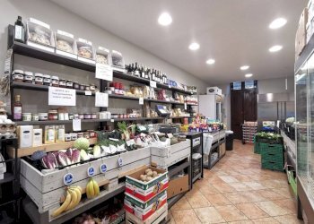 Interno non residenziale - Alimentari - Gastronomia corso Moncalieri, 252, Torino - foto 2