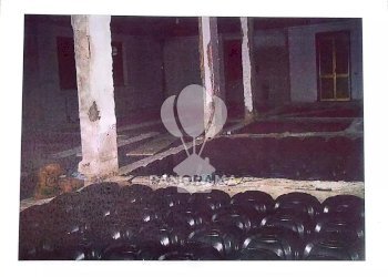 Villa contrada barbarino, Borgetto - photo 32