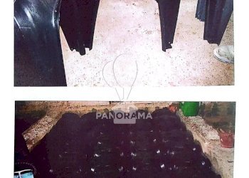 Villa contrada barbarino, Borgetto - photo 47