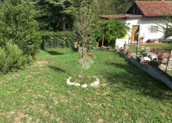 Casa semi indipendente Frazione San Grato, Asti - foto 5