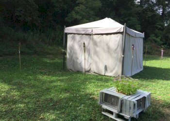 Casa semi indipendente Frazione San Grato, Asti - foto 16