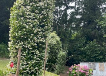 Casa semi indipendente Frazione San Grato, Asti - foto 37