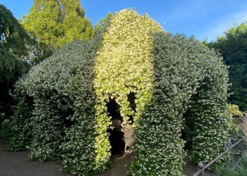 Villa Unifamiliare Borgo Virgilio - foto 6