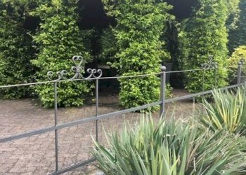 Villa Unifamiliare Borgo Virgilio - foto 16