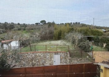 Vista - Independent house via Mercatale, Vinci - photo 23
