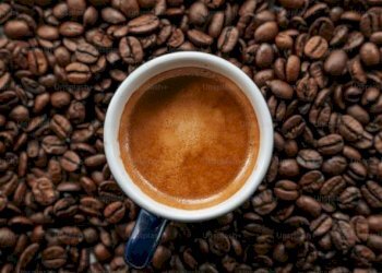 Altro - Cafeteria - Cold Bar Nichelino - photo 2