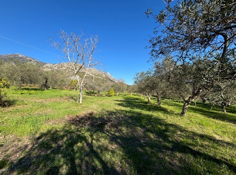 Rustico Spigno Saturnia - foto 2