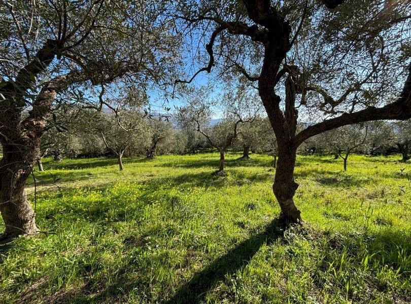 Rustico Spigno Saturnia - foto 3