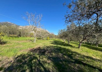 Rustico Spigno Saturnia - foto 2