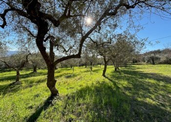 Rustico Spigno Saturnia - foto 4