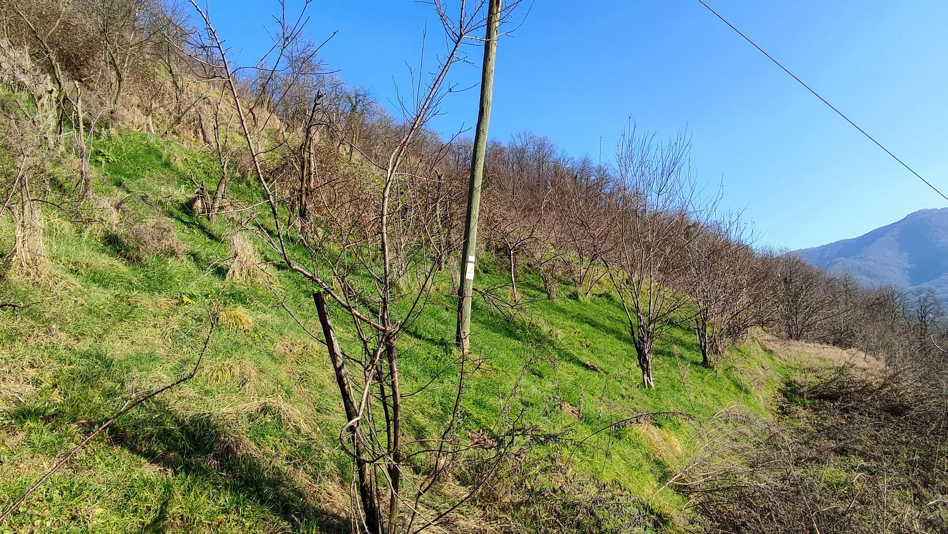Rustic Via Comba San Grato, 15, Pagno - photo 3