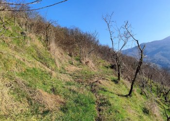 Rustic Via Comba San Grato, 15, Pagno - photo 4
