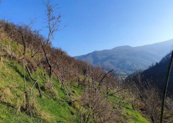 Rustic Via Comba San Grato, 15, Pagno - photo 17