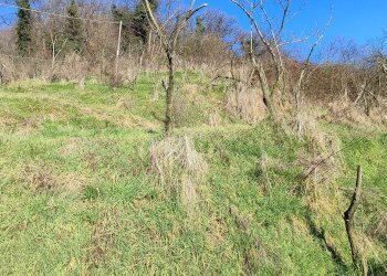 Rustic Via Comba San Grato, 15, Pagno - photo 5