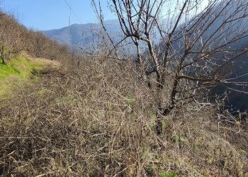 Rustic Via Comba San Grato, 15, Pagno - photo 20