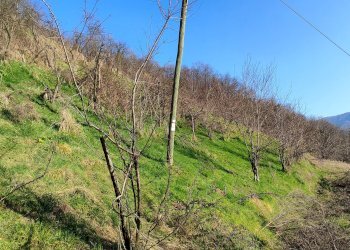 Rustic Via Comba San Grato, 15, Pagno - photo 3