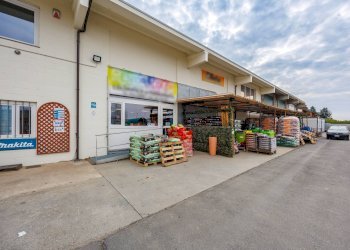 Capannone Strada per Bairo, Agliè - foto 4