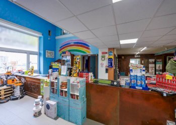 Capannone Strada per Bairo, Agliè - foto 5