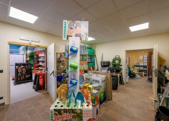 Capannone Strada per Bairo, Agliè - foto 8