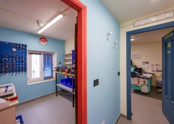 Capannone Strada per Bairo, Agliè - foto 25