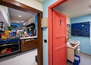 Capannone Strada per Bairo, Agliè - foto 28