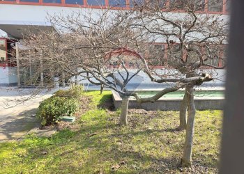 Ufficio Milano (zona Certosa) - foto 18